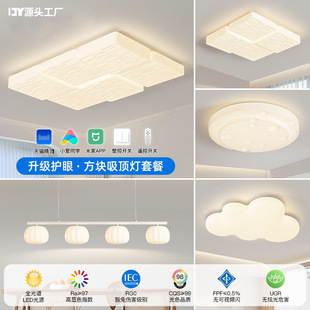 2025 new living room ceiling lamp modern simple creative Zhongshan full spectrum eye cream wind master bedroom lamps