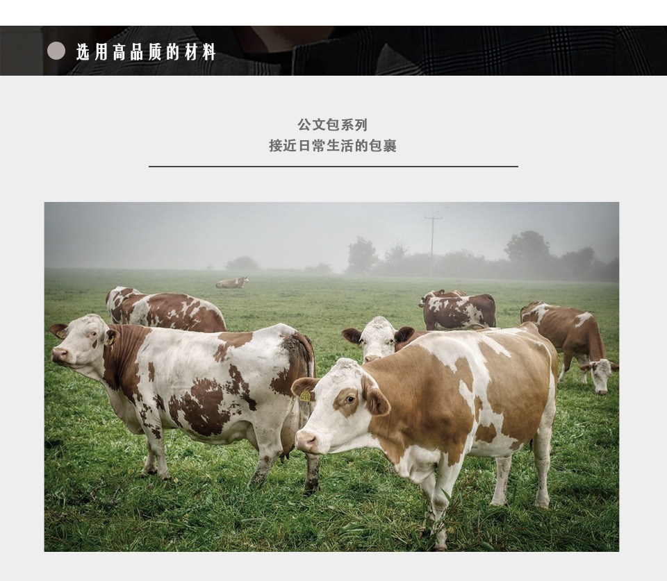 2767 Chinese_07.jpg