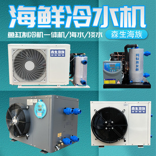 Variable Frequency Constant Temperature Machine Seafood Fish Tank Constant Temperature All-in-One Machine Fish Pond Water Cooler Fish Tank Refrigerator Van Mori Seafood