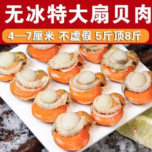 �ش���ؐ���ֹ��F����ؐ���ؼ���ؐ���S���r�ك���ؐ���rֱ�l