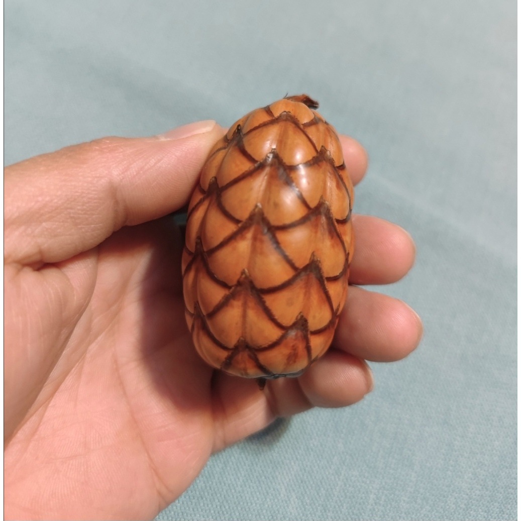 ������Ҭ�P���ְѼ��ؙ��Ʋ��������˱��ɻ����R�d��Ҭ�_�Ɓ�Ҭ��