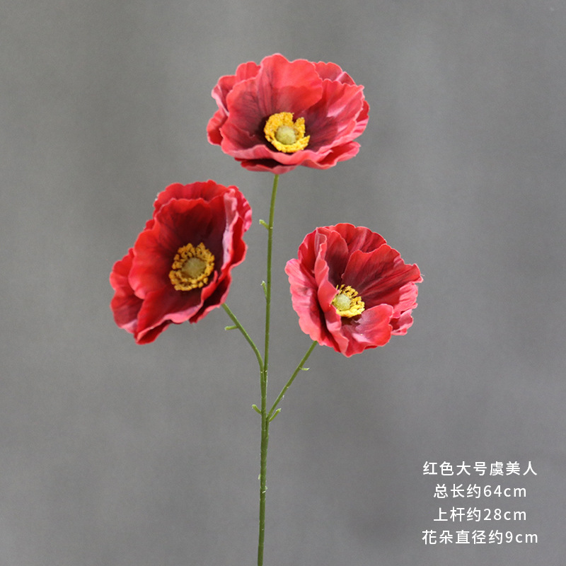 빨간색 대형 양귀비