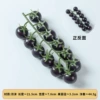 Foam 12 cherry tomatoes purple black