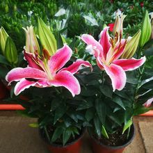 ��ˮ�ٺϻ��r�����Ԏ������ļ��_���̨ͥԺ����ֲ���҃Ȼ�����B