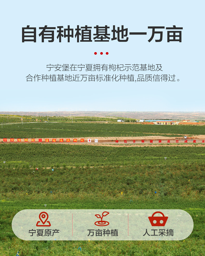 Ning'an Bao Ningxia Eight Treasure Tea Multi Flavor Longan Red Date Goji Herbal Tea Blend 960g in use