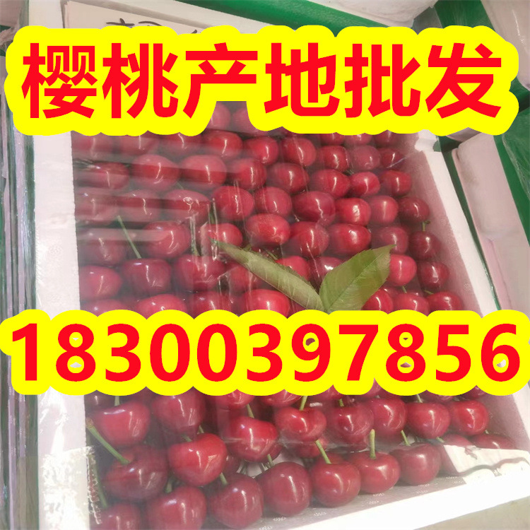 bd203b73090839a821ae5c4c1dd240