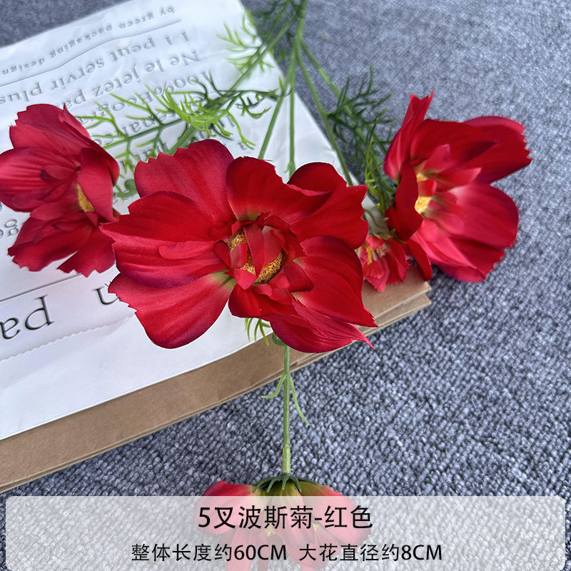 5 포크 페르시아 국화-레드