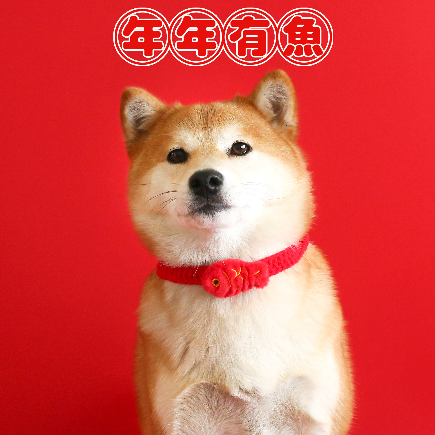 Perro de mascota lana collar de cuerda roja de punto Yuan Bao Koi accesorios de peluche collar guillotina gato perro Año Nuevo Festival de Primavera