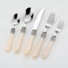 Tableware stainless steel, set, high-end spoon, acrylic retro handle, gift box