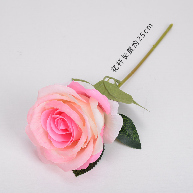 Bobo ball rose champagne powder