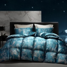 A类纯棉星级酒店静音羽绒被95白鹅绒冬被鹅绒被子被芯春秋被批发