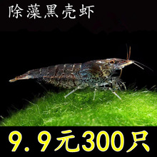 �ښ��r������坍���幤�߳����^�p���r�����r����ϵ�ˮ���쾰