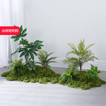 ¡�ɷ���Gֲ�쾰�҃ȸ߶˼�ֲ�ﾰ�^�b�̦�\�݅�������ܛ�b�p��