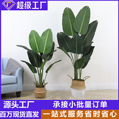 大型北欧シミュレーション植物着地旅人カンナ盆栽室内装飾偽盆栽オフィス緑植置物木