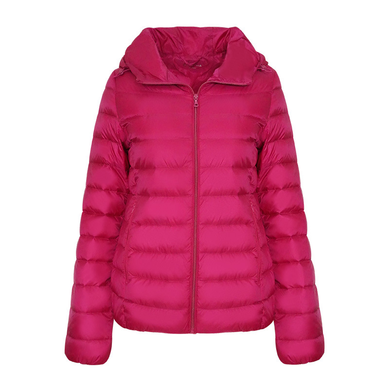 퍼플 레드(GW9005)