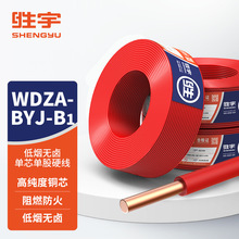 ����WDZB1-BYJ�͟��o�uݗ�ս����b��늾���|ȼ������B1��