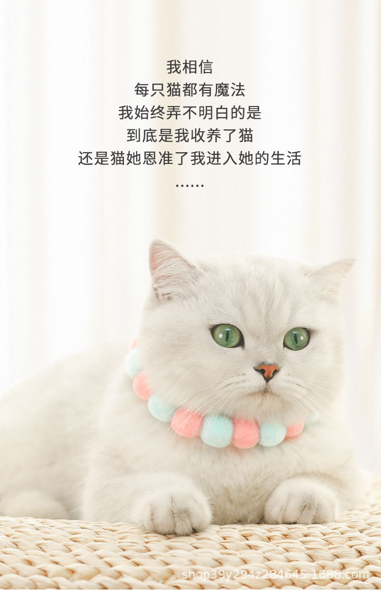 详情_02.jpg