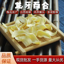 批发散装湖南龙牙百合大片兰州甜百合药食同源天然无硫精选现货