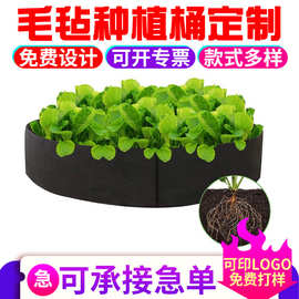 毛毡种植袋
