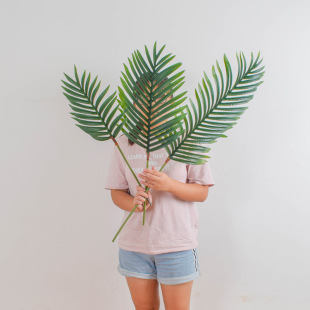 �����F���~��֦�������ε���ɢβᘿ��~�廨��ķ���پGֲ���~