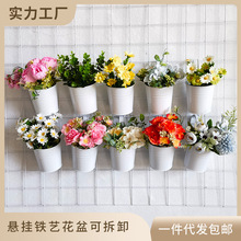 亚马逊彩色花桶铁皮挂桶绿植多肉铁花盆吊盆吊桶家居阳台悬挂花盆