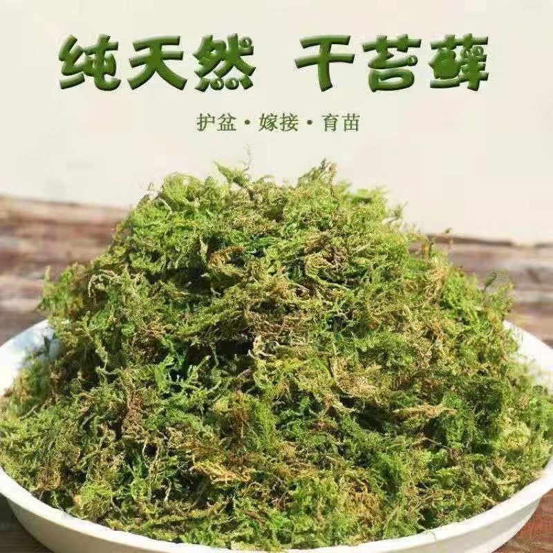 干苔藓青苔蝴蝶兰花石斛专用育苗种植营养土水苔乌龟冬眠垫材|ms