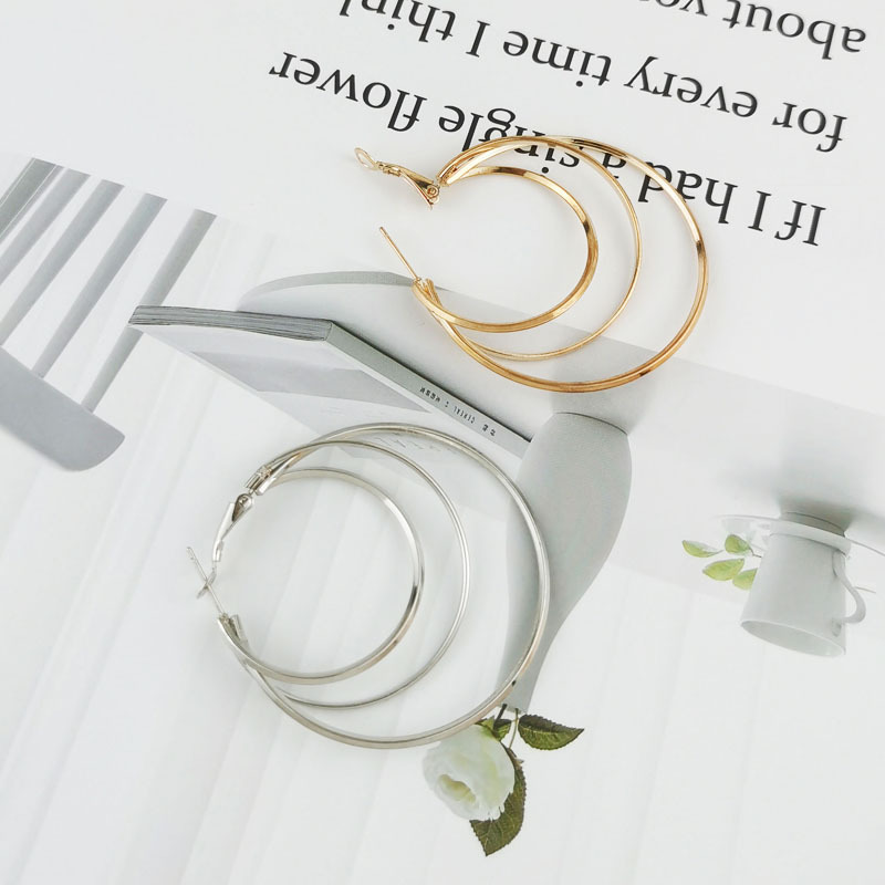 1 Pair Fashion Geometric Alloy Women's Hoop Earrings display picture 4