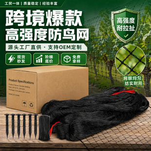 �羳���B�W��ɫ�����r�B�W���@���ѷ��o�W�r�Iˮ�a�Bֳ�����W