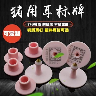 �i�÷��߶������߶����Bֳ�ö��S�a����̖�ƈA�ζ���