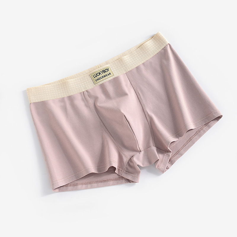 마이크로 파우더