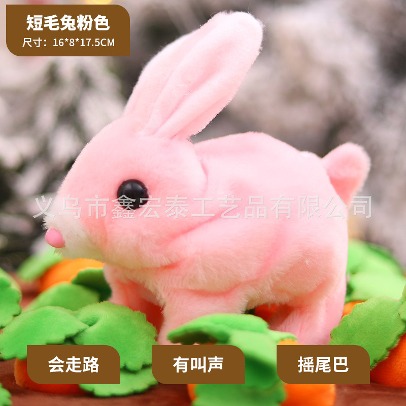 Conejo de pelo corto rosa