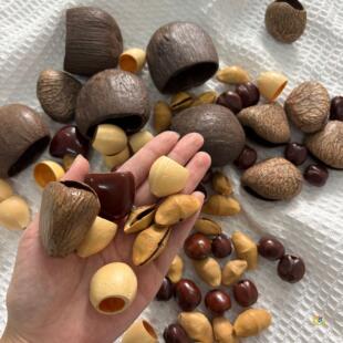 ?�����L�DIY����⏲��ϊA�����P�˵�ɢ������������������u�