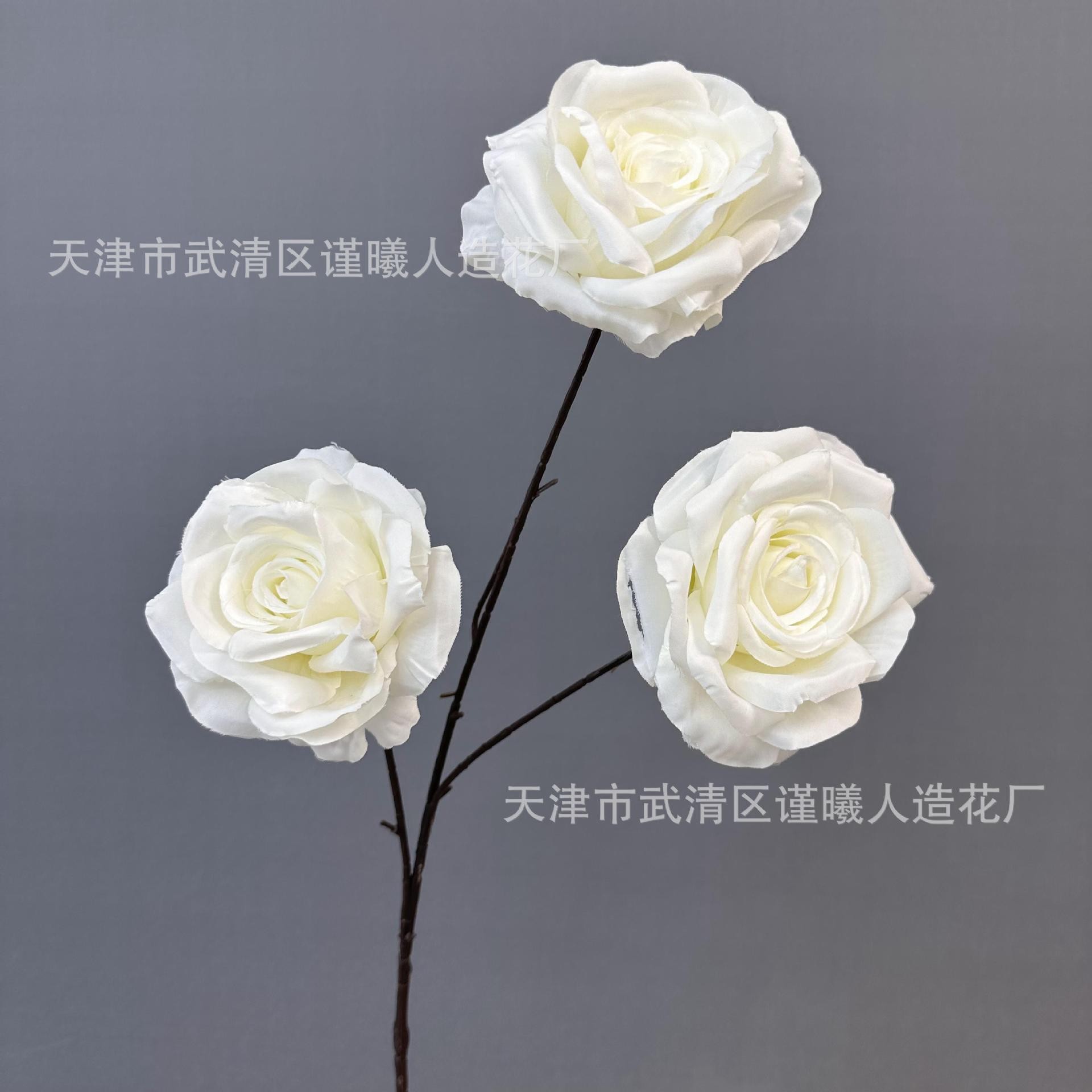 유화 장미