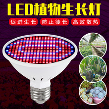 ledֲ��Ʊ�126��200��300���������ֲ�������ƻ��ܶ��ⲹ���