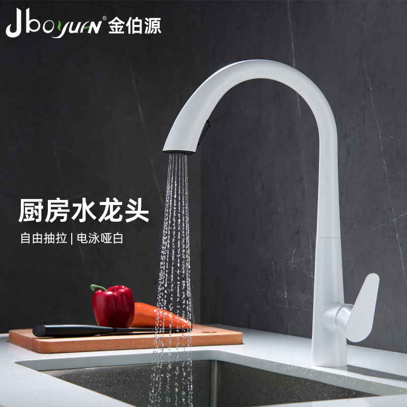 Xiaohongshu's Popular Household Swan Neck Kitchen Pull-Out Faucet Hot and Cold Dishwashing and Vegetable Rotating 304 Stainless Steel