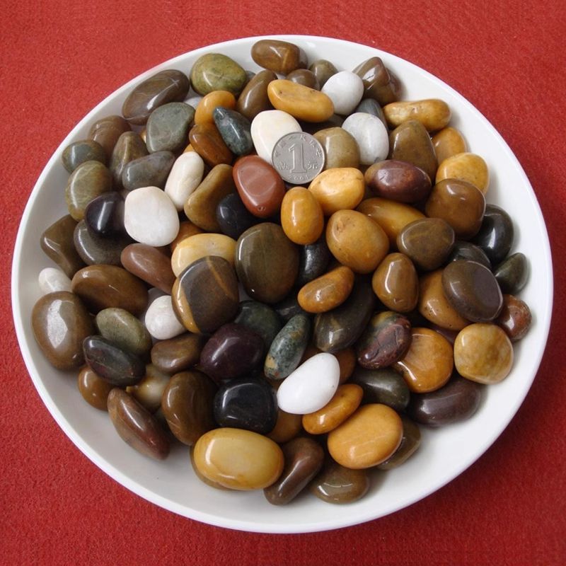 【pack of 2.5kg】finely polished seven-color 2-3 coins
