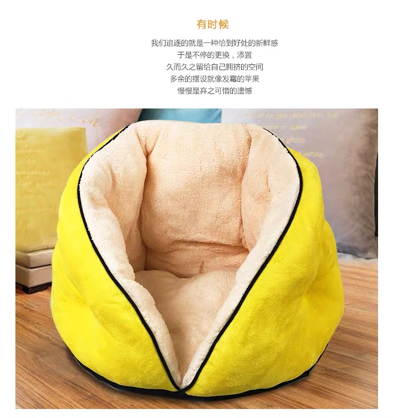 밝은 노란색 백합 [모든 계절에 적합]