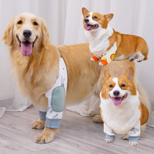 Chongtapet��������o���·��»���ë�o��������Ȯ�oϥǰ�ȱ��o��