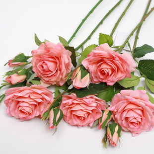 [Equisition moist roses, two roses, two roses, and a green horticultural bouquet for the wedding. ]