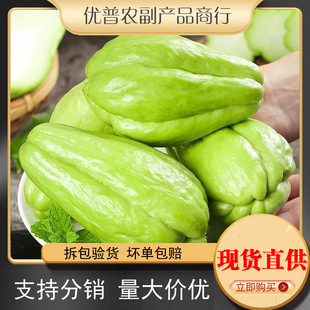 ������Ϸ��ֹ����r������ϑ������߲ˬFժ�F�l�r���ԷN�S�չ�