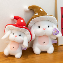 ɐĢëqСżЃͯ˯XŮնY