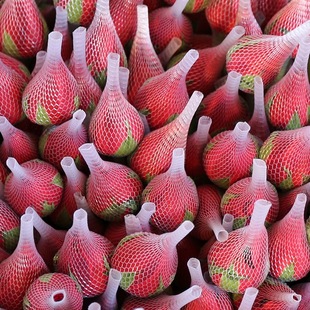 õ�廨�r����������������l�tõ�廨�����ˮ�B���տ��ٺ��r�л�