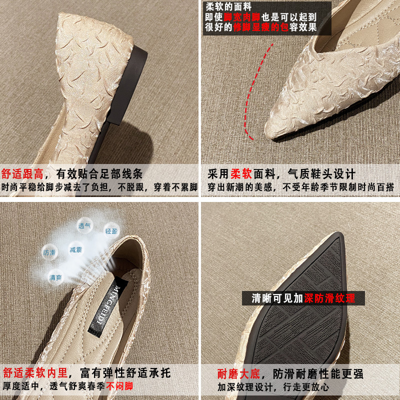2021 viento de la noche de primavera suave todo partido plana dama de hadas punta estrecha boca baja más tamaño zapatos de una sola capa para mujeres 41-43 image 6