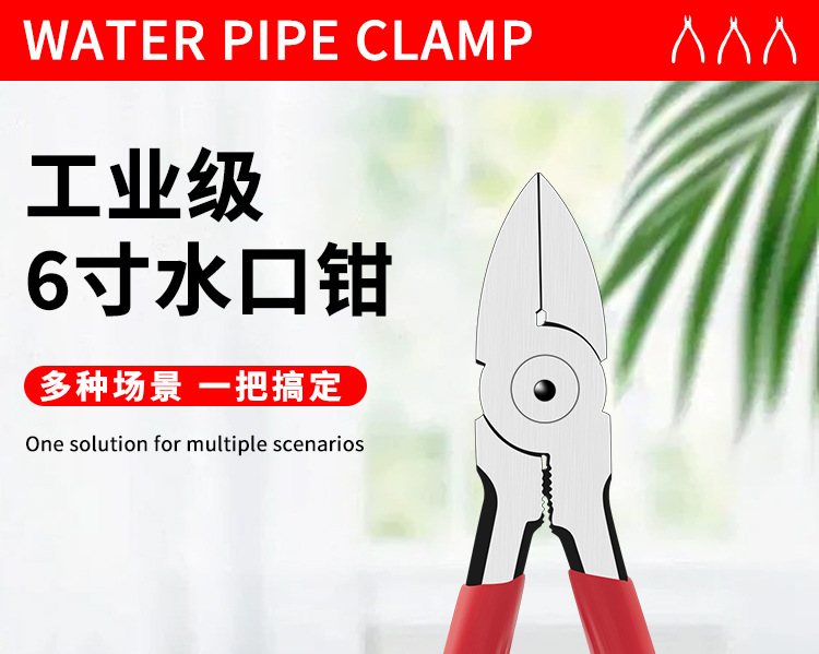 微信图片_20250408145456