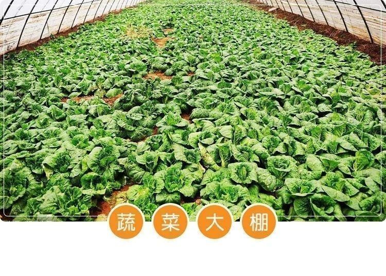 4468e27b-019a-4eec-9d64-6e0d72fc18d7.jpe