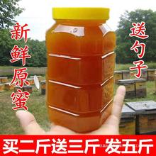 原始蜂蜜纯正天然农家自产山东老山洋槐蜂蜜百花蜜结晶土蜂蜜液体