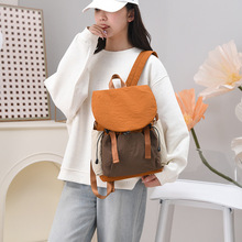 2025�¿������p���Ů�p����K���e�������ֵ���sͨ�ڌW���p���