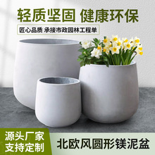 ˮ�໨�����Gֲ�ٺ����������������ҿ͏d�����b[����ֲ��