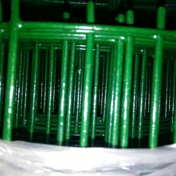 四川直销荷兰网 浸塑电焊 护栏网 防护网 围栏网 铁丝网