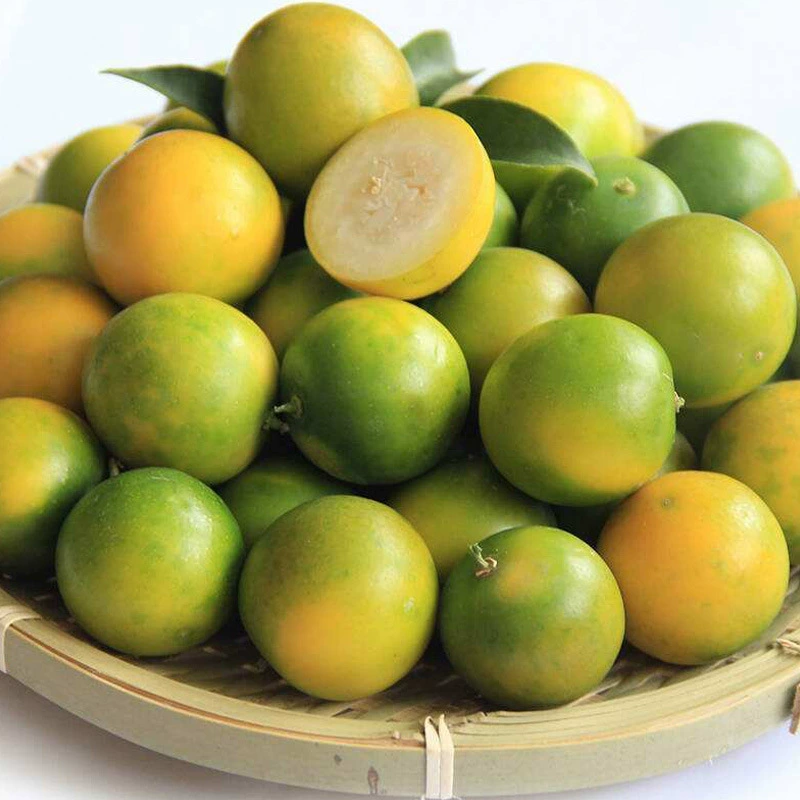 Свежесобранный сезонный кумкват с кожурой, хрустящей кожурой, сочный и гладкий на ощупь кумкват из фруктового магазина, оптом по весу (целый фрукт).